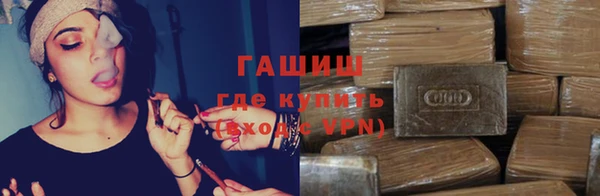 прущие грибы Чекалин