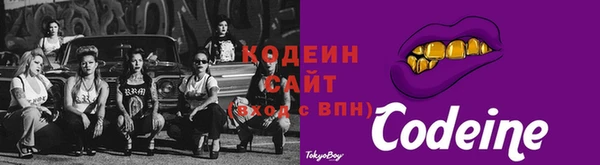 СК Дмитровск
