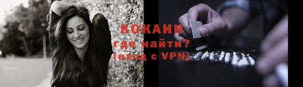 дживик Дмитров