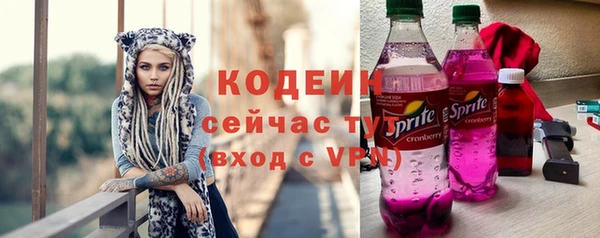 СК Дмитровск