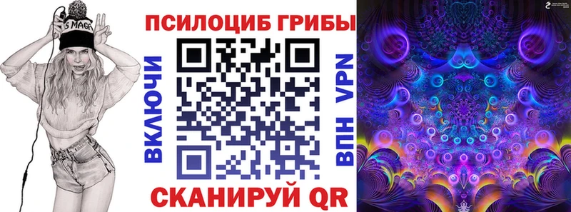Галлюциногенные грибы Psilocybine cubensis  Купить закладки  Ужур 
